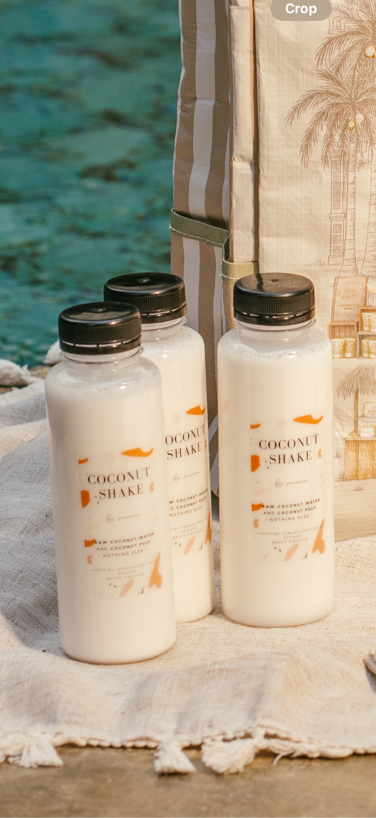 COCONUT SHAKE, 300ML (SET OF 3)